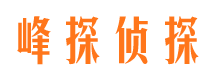 船山寻人公司